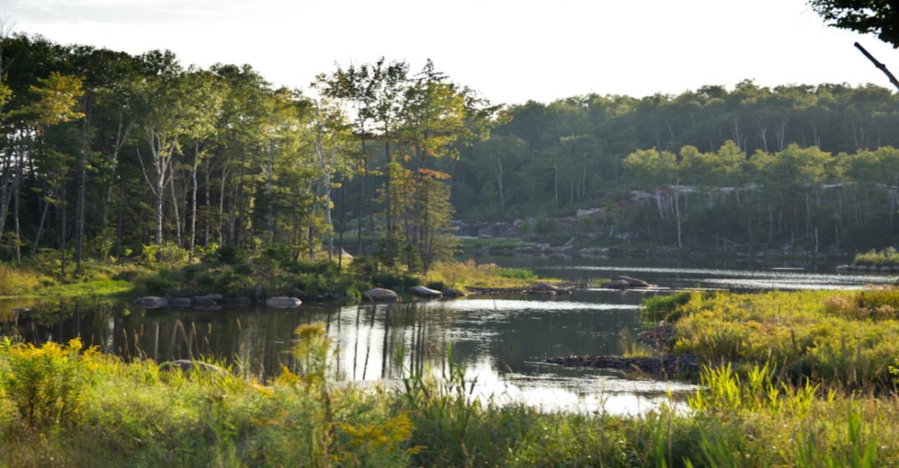 Etoile Du Matin By Rendez-Vous Mont-Tremblant Leilighet Eksteriør bilde